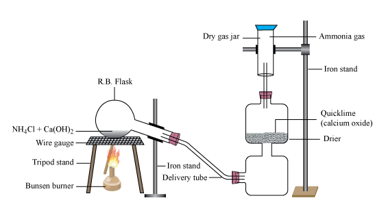 well labeled diagram of laboratory preparation of ammonia gas